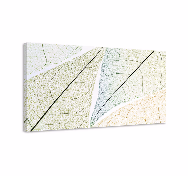 Flowers canvas with detailed leaf patterns - TenStickers