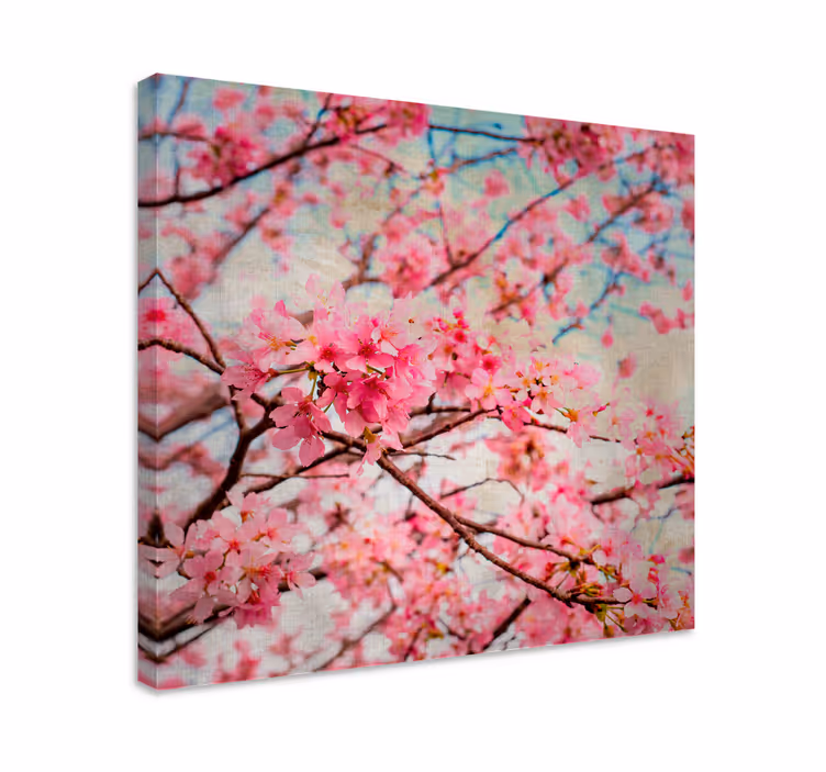 Flowers canvas cherry blossom blooms - TenStickers