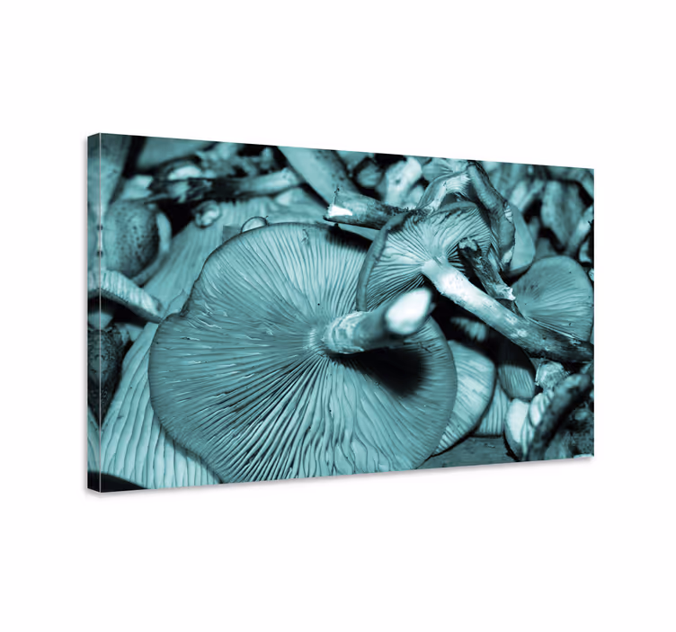 Flowers canvas mushroom growth art print - TenStickers