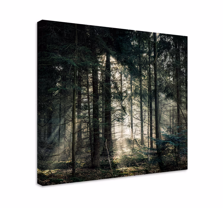 Landscape canvas sunlight through the leaves - TenStickers