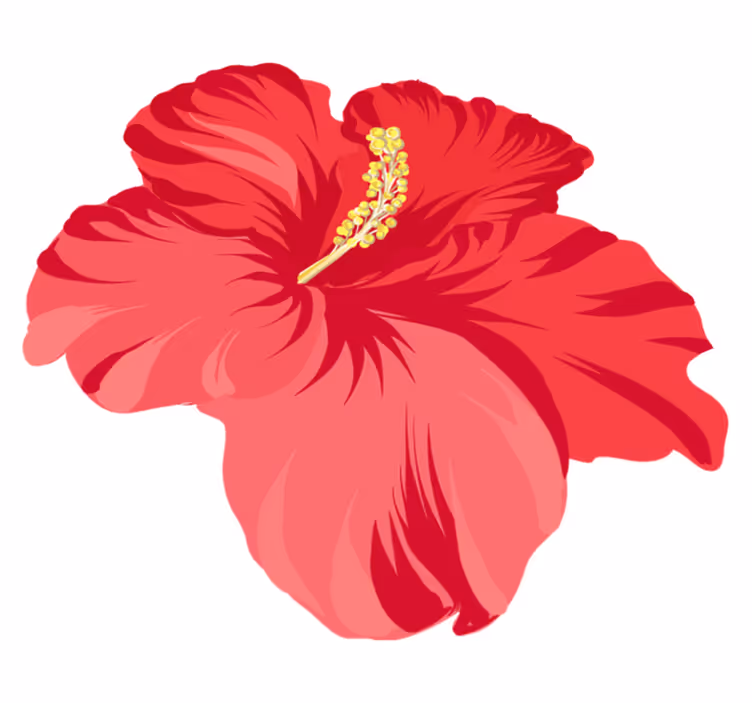 Floral vinyl rug red hibiscus flower set - TenStickers