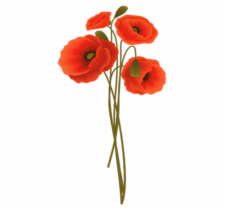 Delicate poppies bathroom vinyl rug - TenStickers