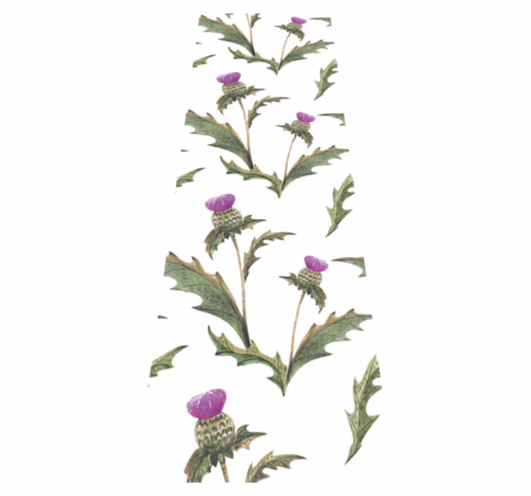 Scottish thistles bedroom vinyl rug - TenStickers