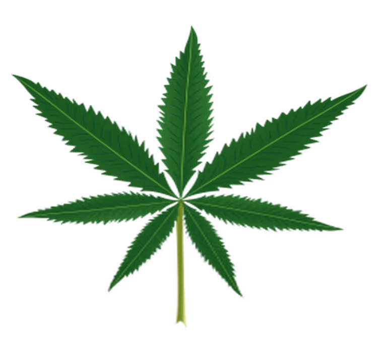 Floral vinyl rug with cannabis leaf design - TenStickers