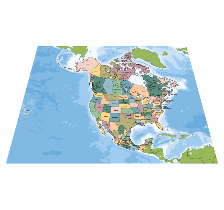 Cartographic Representation world map vinyl rug - TenStickers