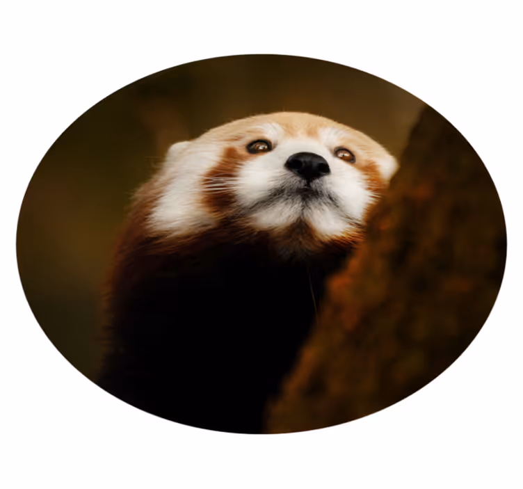 Red fox portrait animal vinyl rug - TenStickers