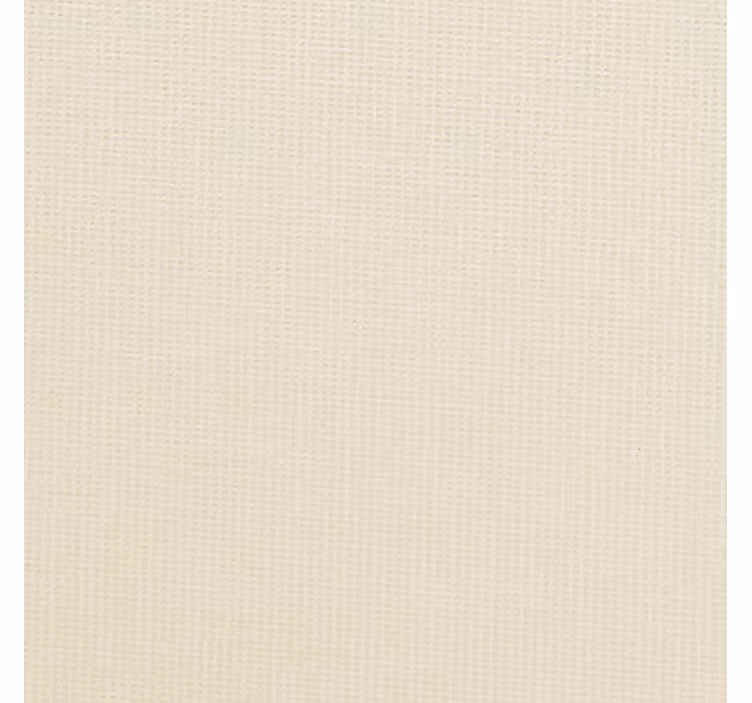 Wallpaper office bone color translucent - TenStickers