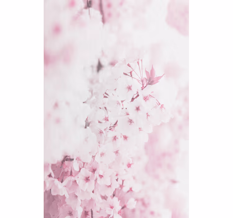 Flowers wallpaper light pink floral background - TenStickers