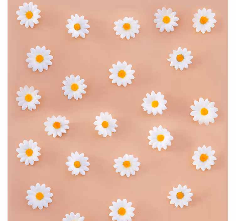 Daisy Blooms flowers wallpaper - TenStickers