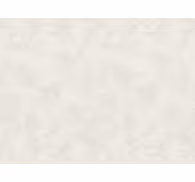 Concrete wallpaper brushed arctic stucco