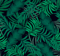 Forest Wallpaper Keys in the jungle