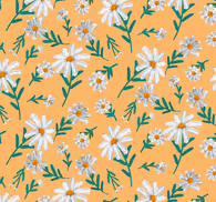 Nature Wallpaper Daisy Flower Yellow Background