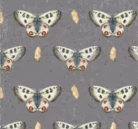 Butterflies and Concrete Concrete Style Wallpaper