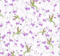 Colourful Hummingbird Grey Bird Wallpaper
