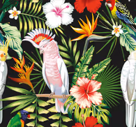 Bright Colour Parrots Cool animal wallpaper