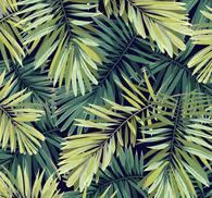 green huge leaves Nature Wallpaper