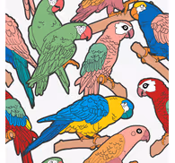 Parrot Ensemble parrots wallpaper