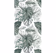 Monstera Foliage leaves wallpaper