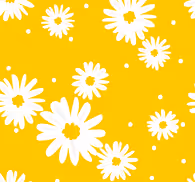 Daisy Delight flowers wallpaper