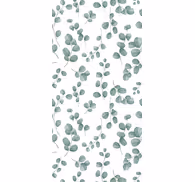 Eucalyptus vine elegance leaves wallpaper