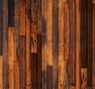 October evening wood Wallpaper