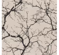 Thin black  branches contemporary wallpaper