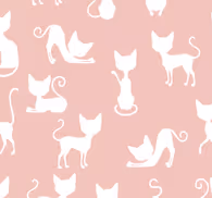 Funny different posture of cat wallpaper