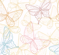 Butterfly Outlines butterflies wallpaper