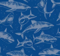 Furious Sharks Bedroom Wallpaper