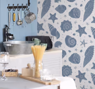 Seashell Motif nature wallpaper