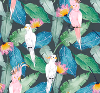 Tropical birds and leaves wallpaper