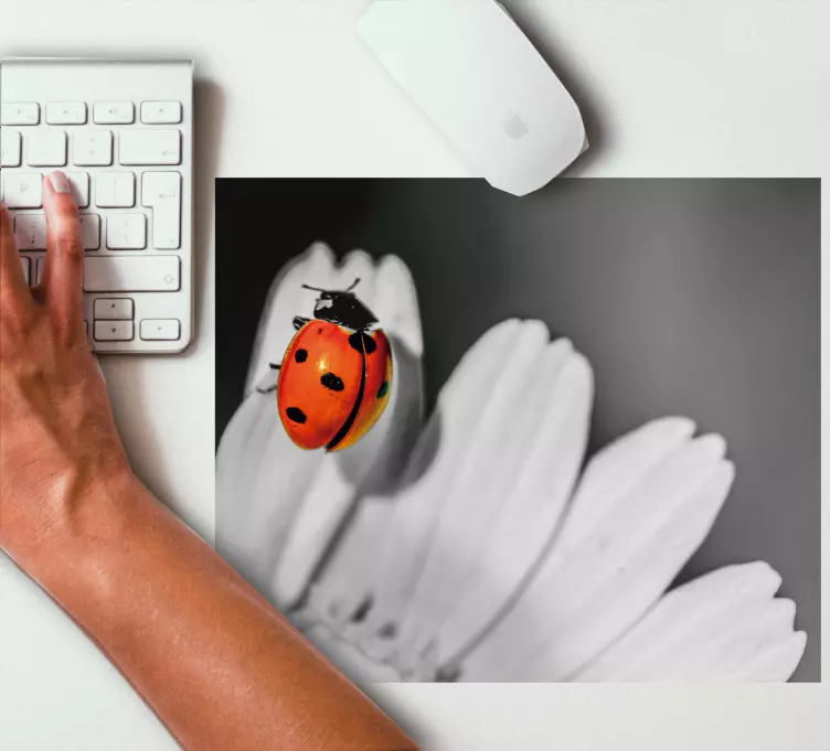 Original mouse pad ladybug on flower - TenStickers
