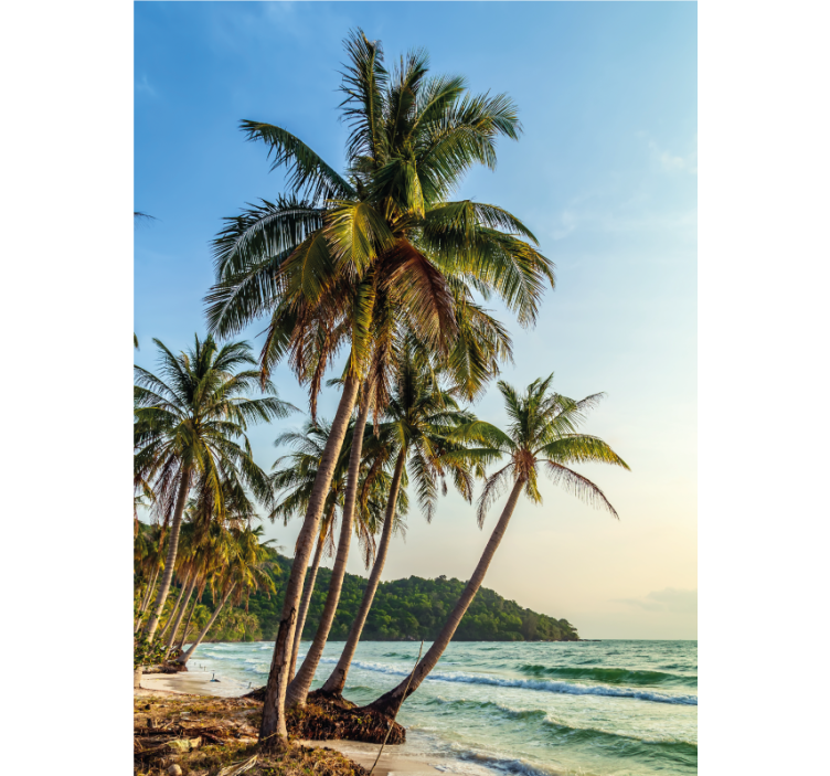 Palm trees on the beach bathroom blind - TenStickers