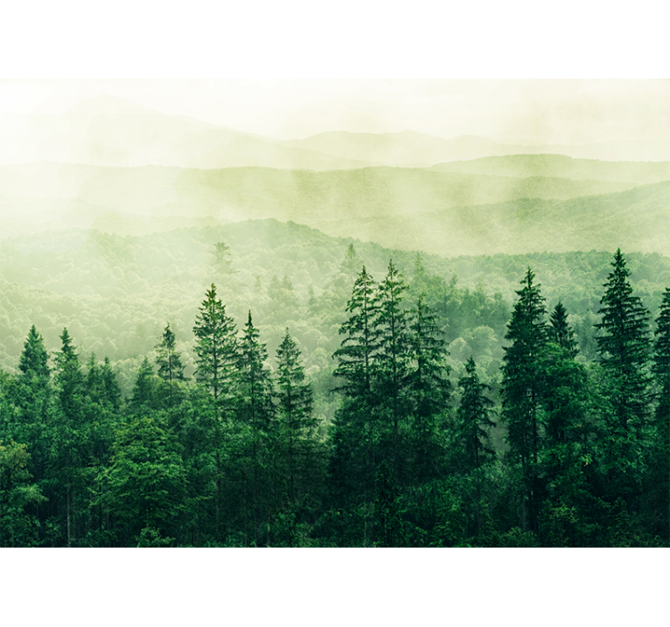 Kitchen roller blind in green forest treetops - TenStickers