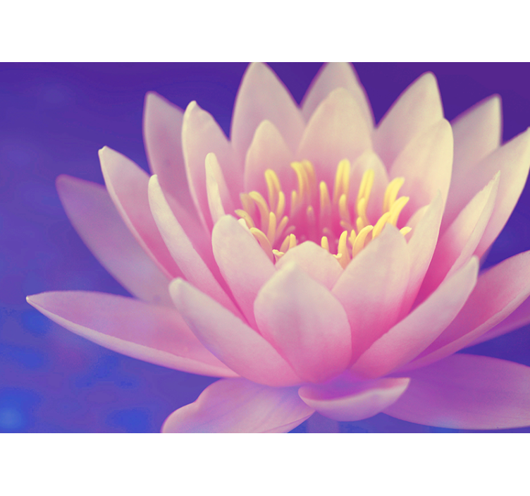 Kitchen roller blind pink lotus flower - TenStickers