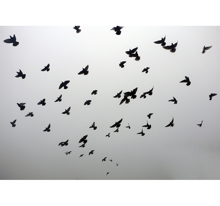 White window blind with aesthetic bird design - TenStickers