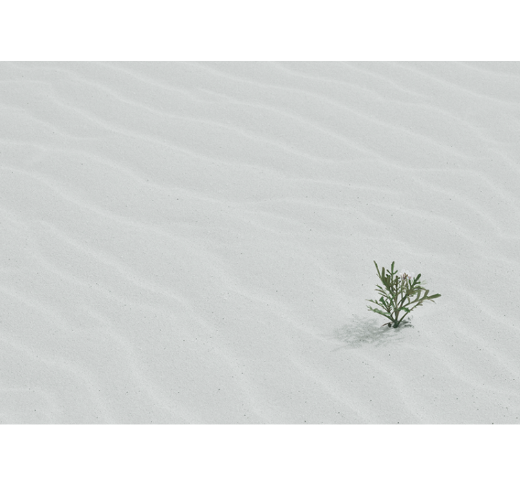 White window blind in white desert sand color - TenStickers