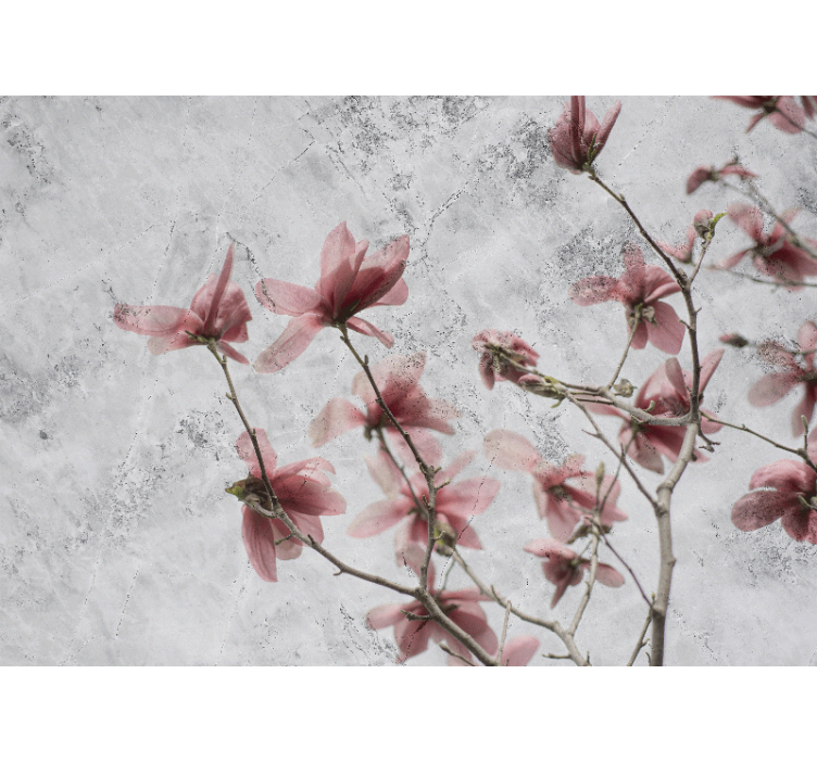 Living room blind elegant glamour style magnolia design - TenStickers