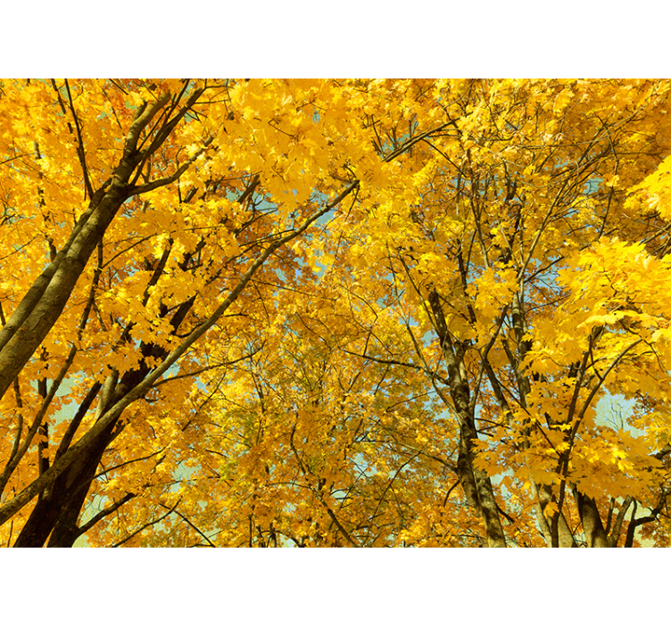 Blind yellow yellow autumn leaves - TenStickers