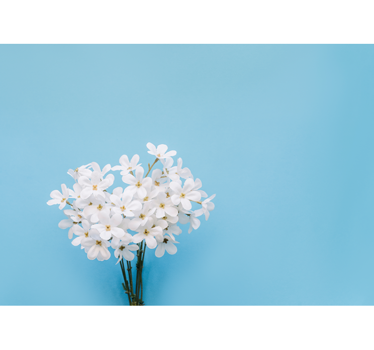 Blind blue jasmine background - TenStickers