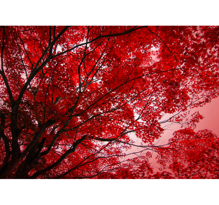 Red blind with red branches - TenStickers