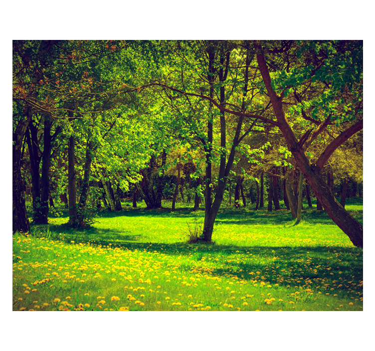 Blind green tranquil forest perspective - TenStickers