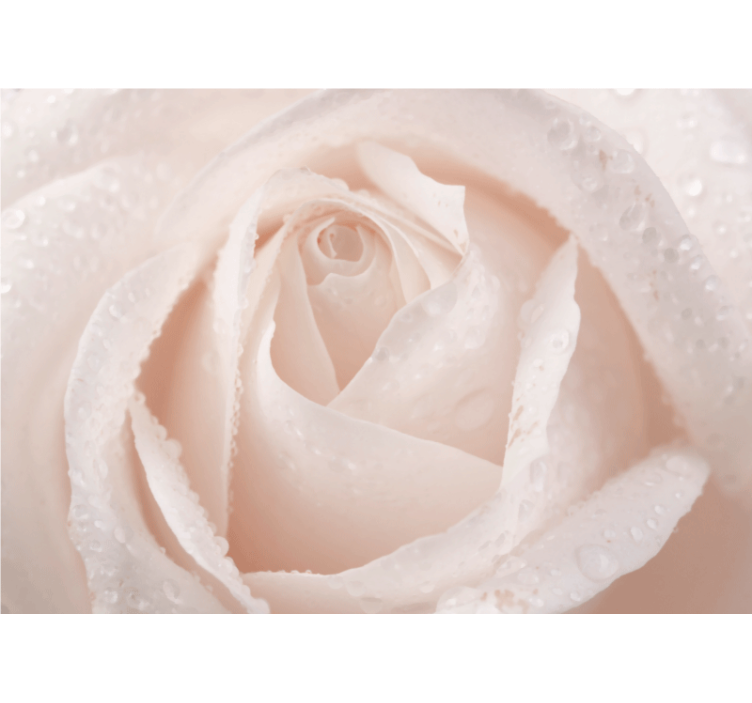 Living room blind beautiful white rose - TenStickers