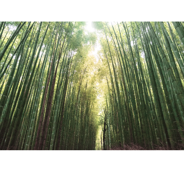 Living room blind bamboo forest serenity - TenStickers