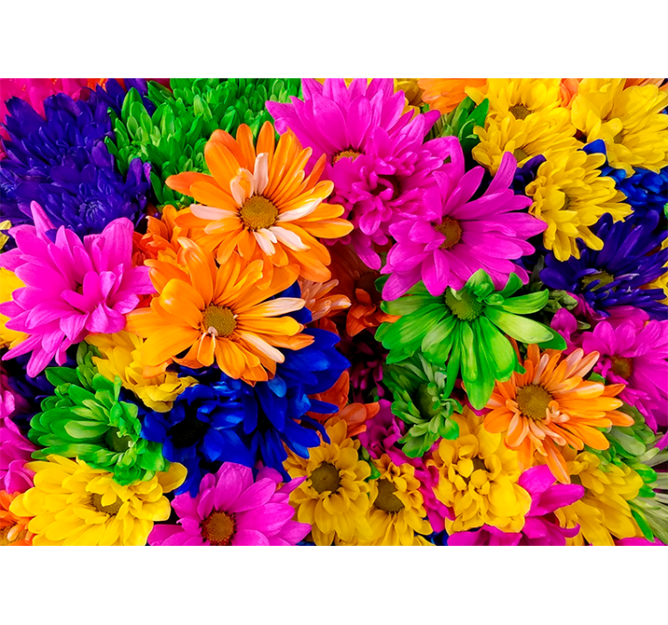 Living room blind colorful chrysanthemum design - TenStickers