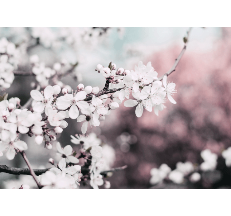 Living room blind in elegant feminine white cherry blossoms - TenStickers