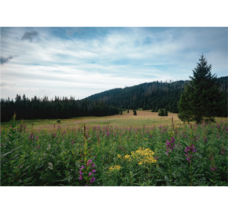 Living room blind tatra park in springtime - TenStickers