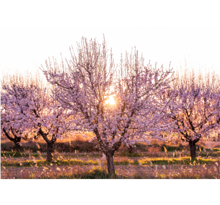 Living room blind pink floral landscape design - TenStickers