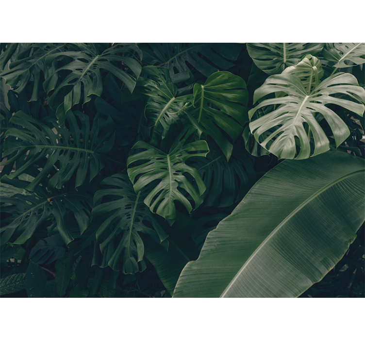 Living room blind in beautiful green jungle forest - TenStickers