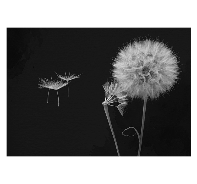 Blind grey dandelion head wall mural with seeds - TenStickers